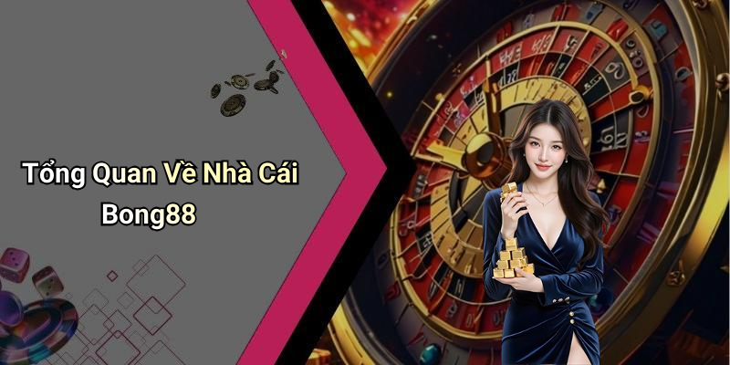 Tổng Quan Về Nhà Cái Bong88