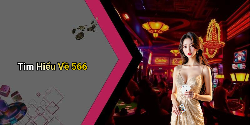 Tìm Hiểu Về 566