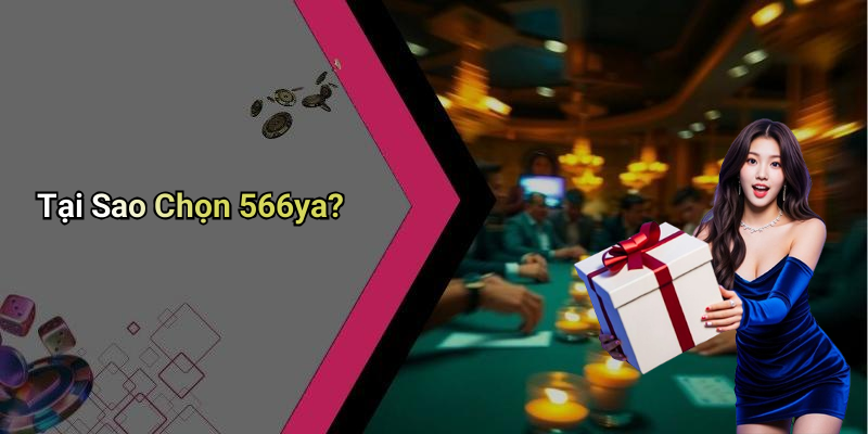 Tại Sao Chọn 566ya?