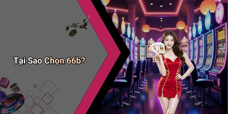 Tại Sao Chọn 66b?