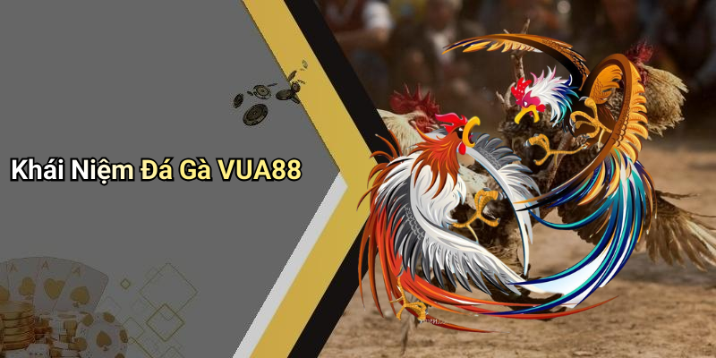 Khái Niệm Đá Gà VUA88