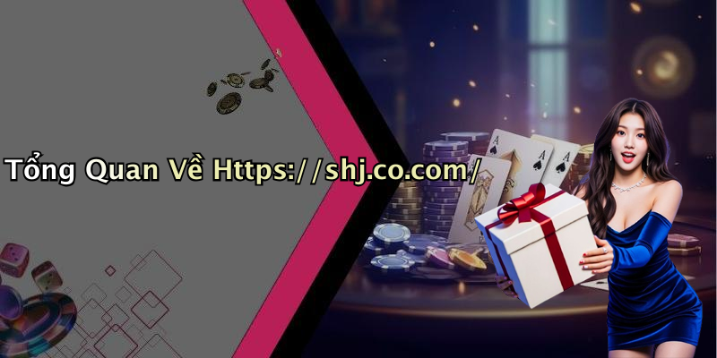 Tổng Quan Về Https://shj.co.com/