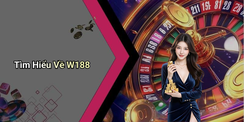 Tìm Hiểu Về W188