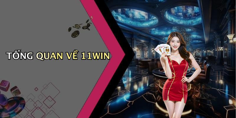 TỔNG QUAN VỀ 11WIN